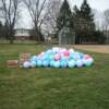 One of the most enjoyed prizes. Large bouncing balls